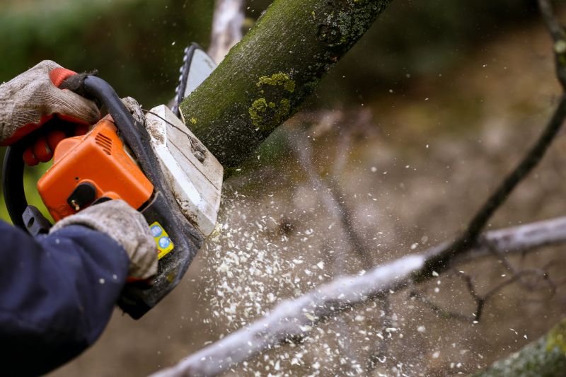 Protect Against Storm Damage