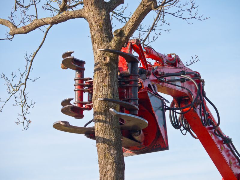 Tree Removal Equipment Ready