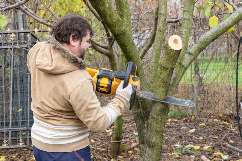 Redwood Trimming Techniques