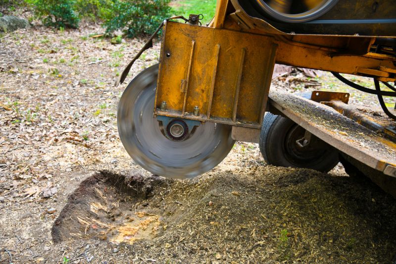 Stump Grinding Service in Aiken, SC