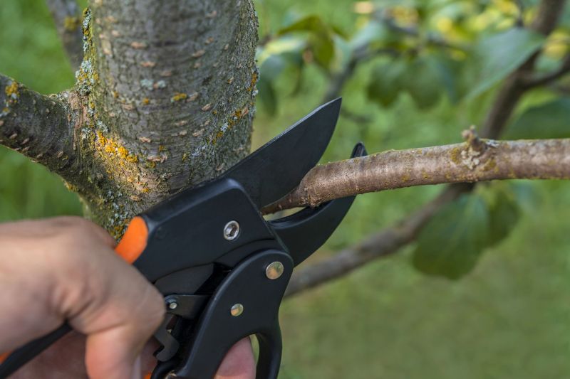 Precision Tree Trimming