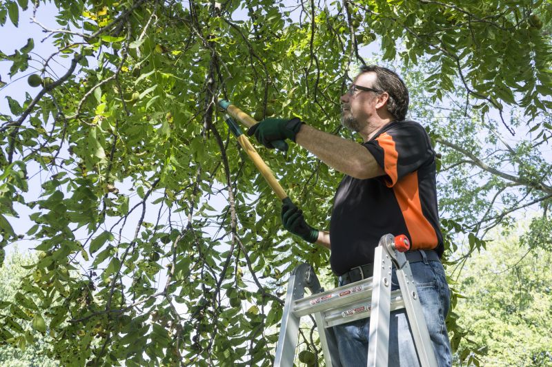 Tree Pruning in Action